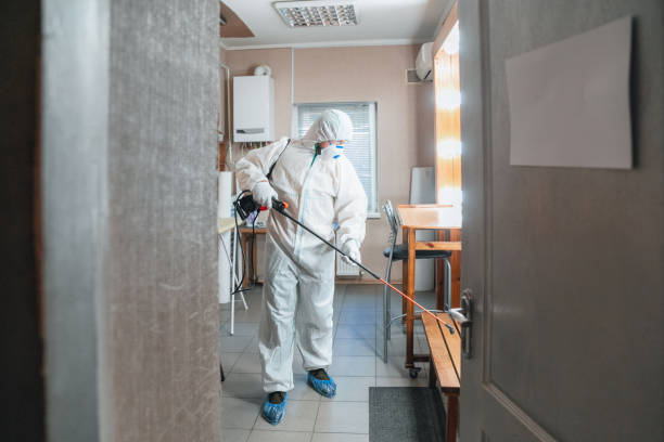 Best Biohazard Mold Removal  in Hudson, WI