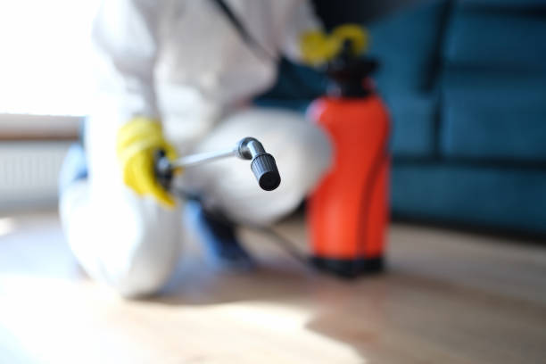 Mold Remediation for Rental Properties