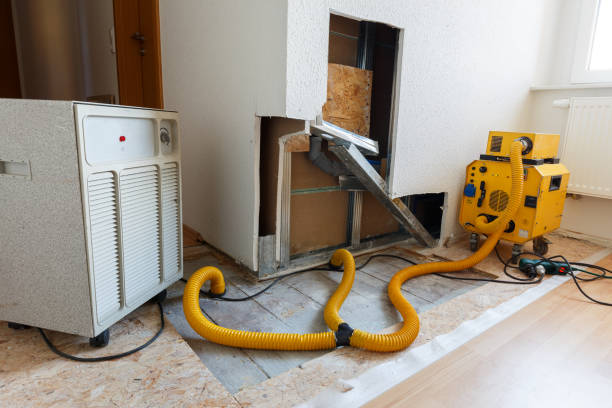 Best Mold Damage Restoration  in Hudson, WI